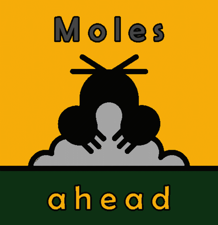 2023 01 14   molesahead Copyright Moleas Ahead   mittel 84158 Moles Ahead