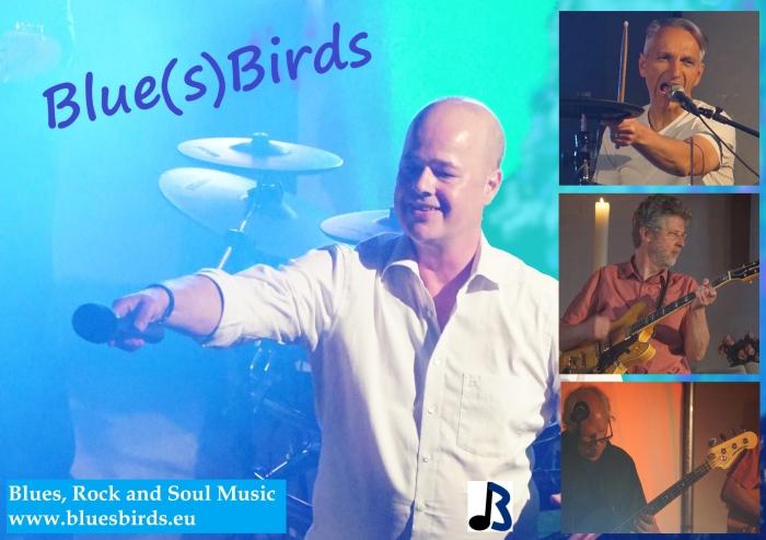 2023 03 15   BluesBirds Copyright BluesBirds   mittel 84802 Blue(s)Birds