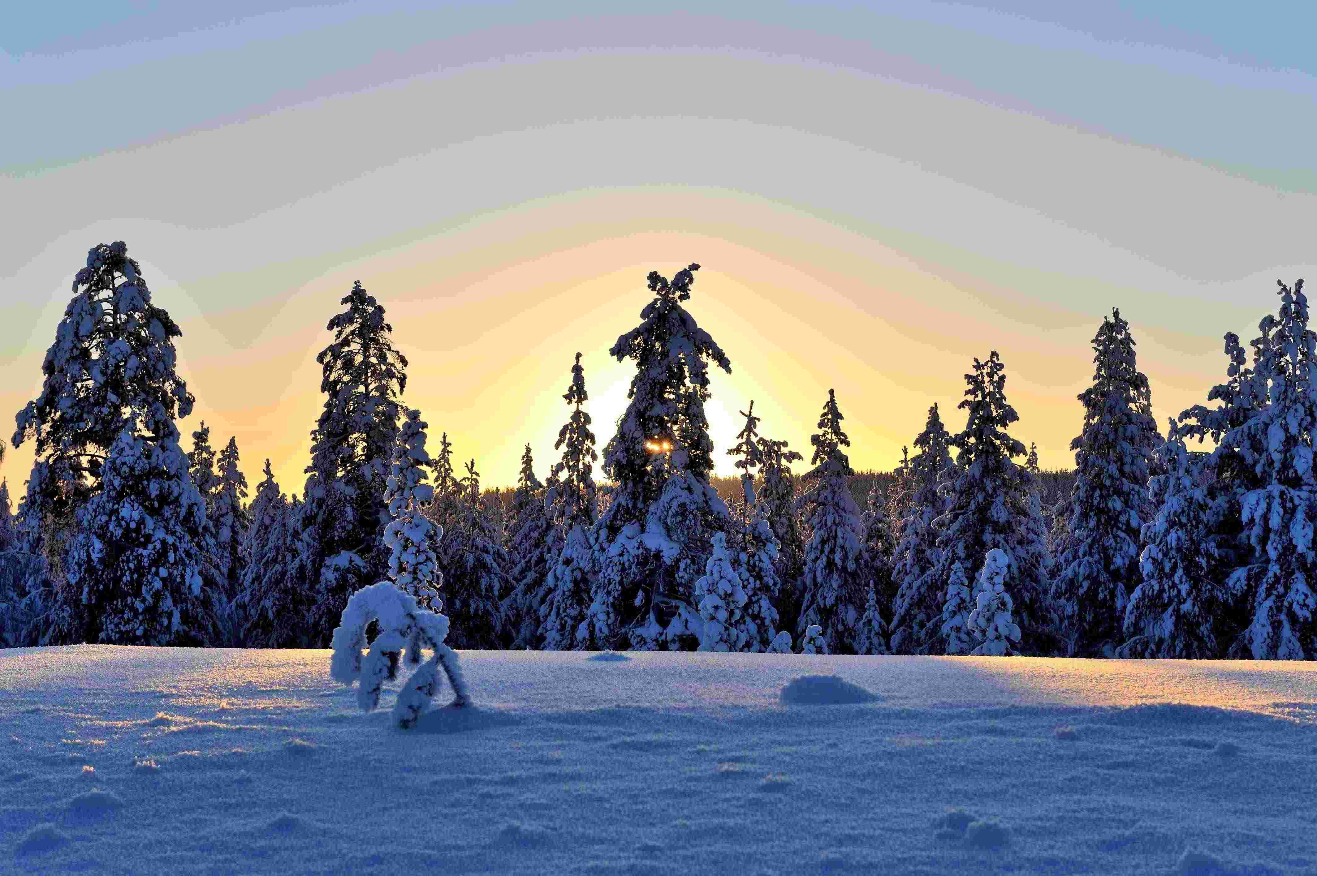 Lappland PF 01m 90335 (Vor )Weihnachtlicher Abend mit Peter von Sassen